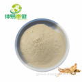 China Ginseng Extract Powder 80% Ginsenosides UV Supplier